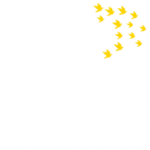 MAD - Management Advisor